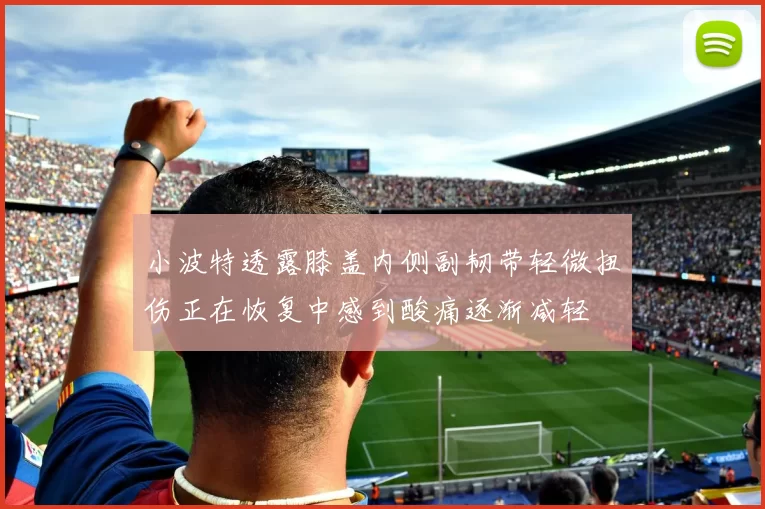 小波特透露膝盖内侧副韧带轻微扭伤正在恢复中感到酸痛逐渐减轻